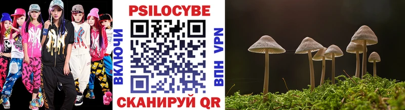 Псилоцибиновые грибы MAGIC MUSHROOMS  omg сайт  Наволоки  цены наркотик 